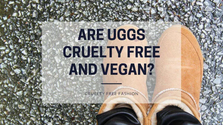 Are UGGs cruelty free and vegan featured image